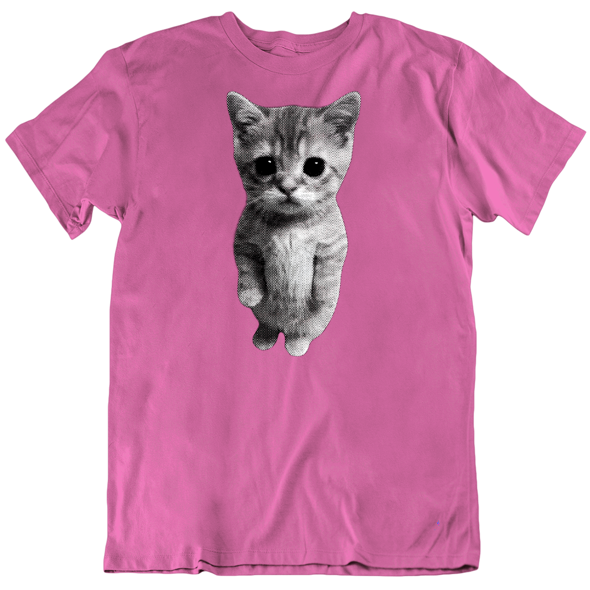 Standing Cat Meme Shirt, Retro Funny Kitten Shirt, Ironic Cat Lover Gift, Cringe Shirts T Shirt
